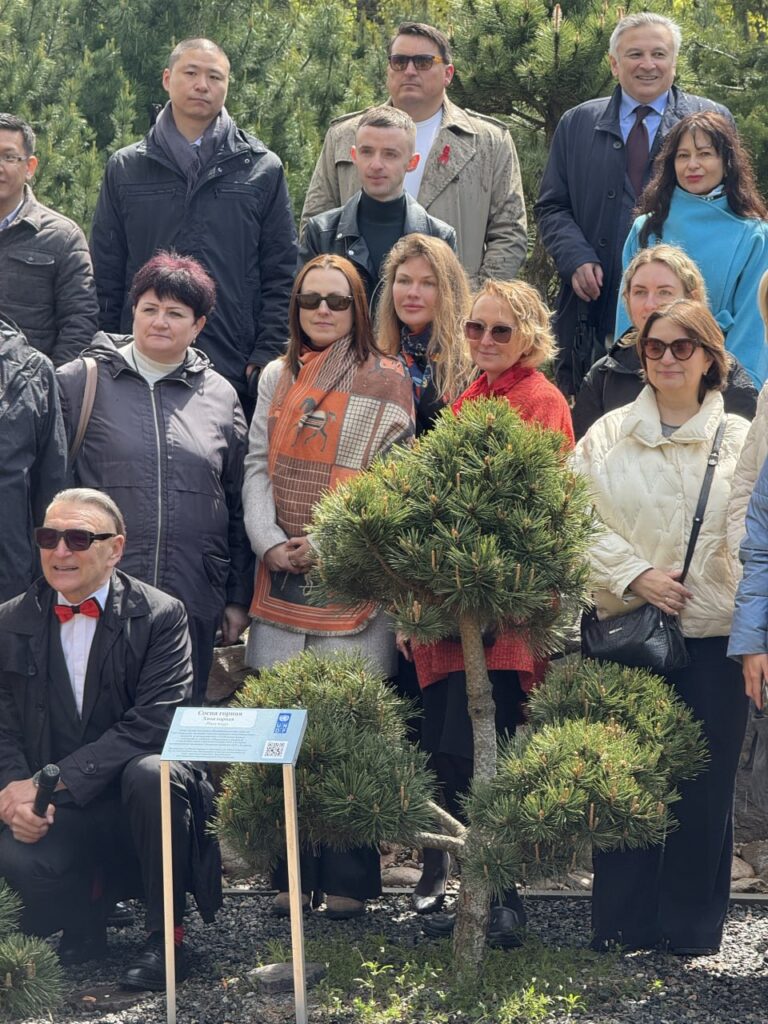 Памятная табличка около сосны