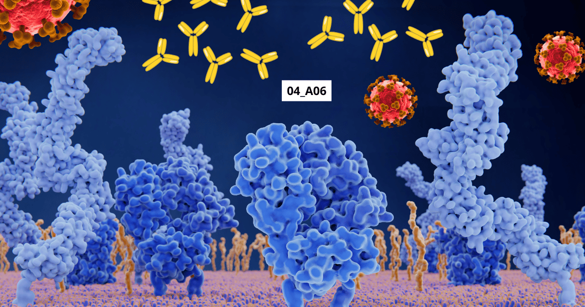 Ученые нашли «суперантитело» против ВИЧ – что дальше