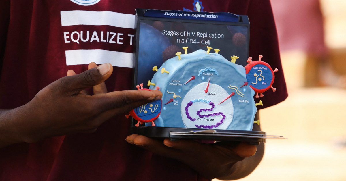 HIV replication